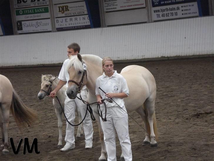 Kåring på Finstrupgård. - Alanya igen, og det er ikke hendes føl. (; billede 11