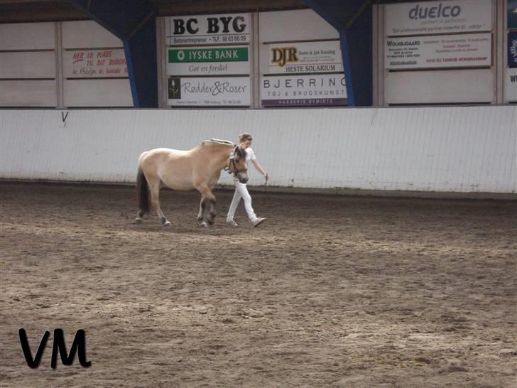 Kåring på Finstrupgård. - Camilla. billede 14
