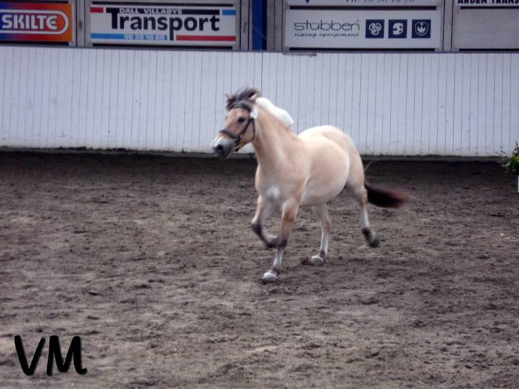 Kåring på Finstrupgård. - Smukke Camilla. billede 15