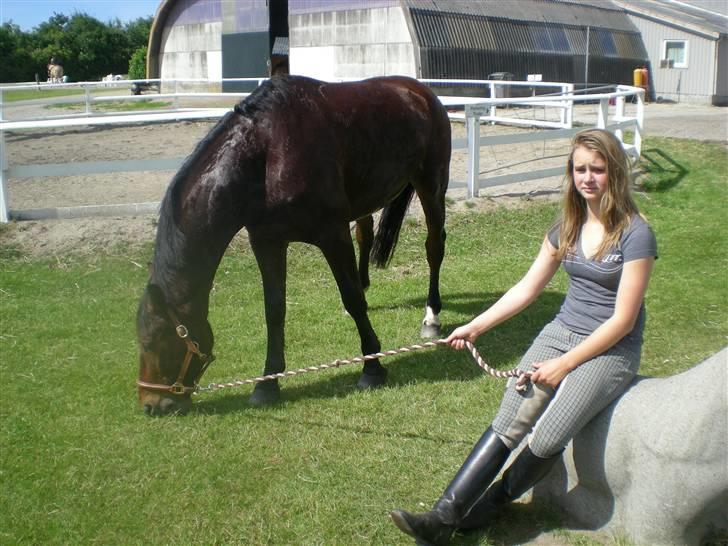 RIDELEJR BAUNEHØJ - Min kusine & classibassi <3 billede 4