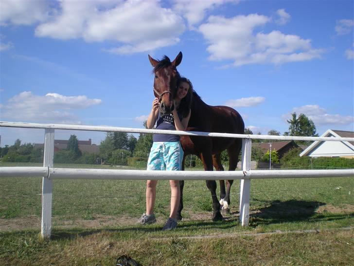 RIDELEJR BAUNEHØJ - Mig & carismo, på hans fold. billede 10