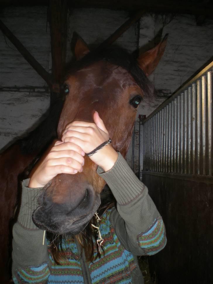RIDELEJR BAUNEHØJ - Hahahah, skøre hest <3 billede 13