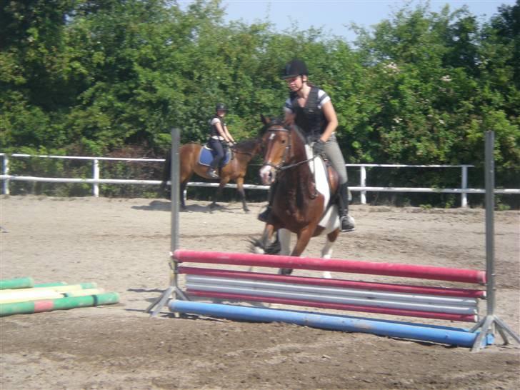 RIDELEJR BAUNEHØJ - Cloé jumping (; eller stop? billede 16