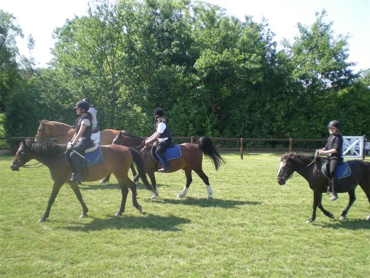 RIDELEJR BAUNEHØJ - Før spring billede 18