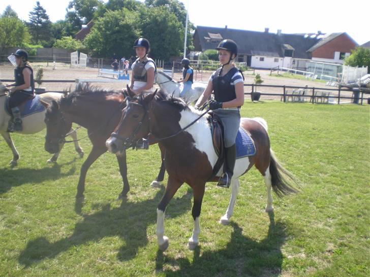 RIDELEJR BAUNEHØJ - Før spring billede 19