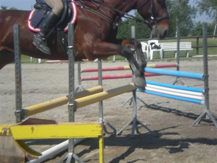 RIDELEJR BAUNEHØJ - Springer, desværre ikke så mange springbilleder af os, men vi sprang meget højere <3
 billede 21