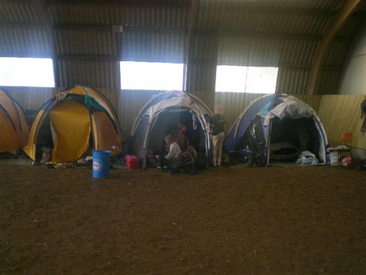 RIDELEJR BAUNEHØJ - Vores telte :D billede 25