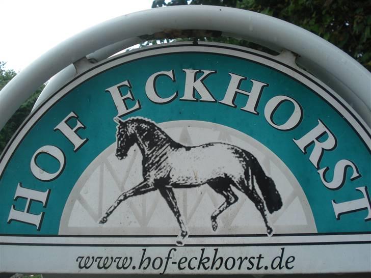 HOF ECKHORST - træningslejr billede 1