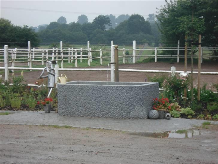 HOF ECKHORST - træningslejr - Springvand på gårdspladsen billede 10