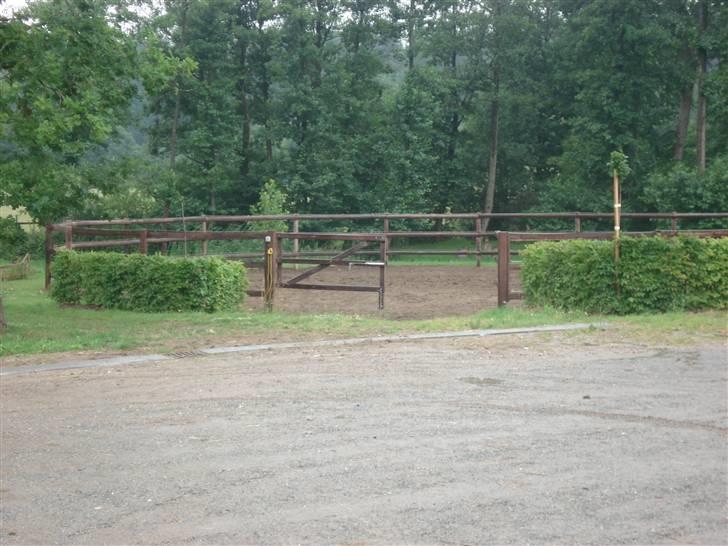 HOF ECKHORST - træningslejr - Longe-ringen billede 12