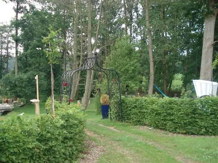 HOF ECKHORST - træningslejr - Bag stalden billede 16