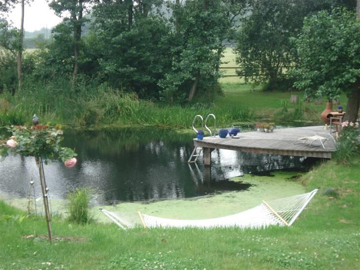 HOF ECKHORST - træningslejr - Badesøen bag stalden billede 17