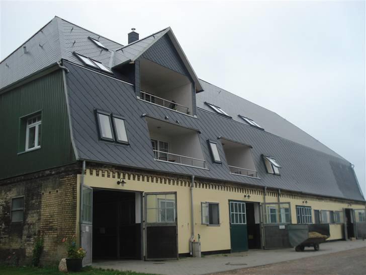 HOF ECKHORST - træningslejr - Hovedstalden billede 20