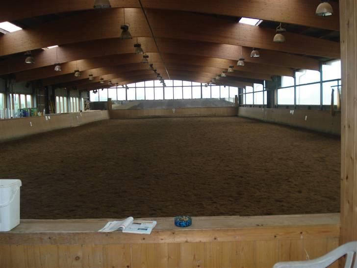 HOF ECKHORST - træningslejr - Ridehallen billede 21