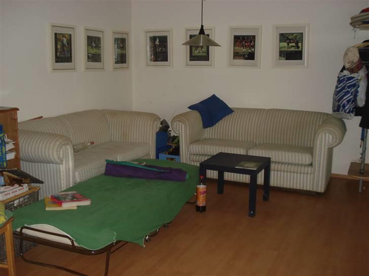 HOF ECKHORST - træningslejr - Rytterstue billede 23