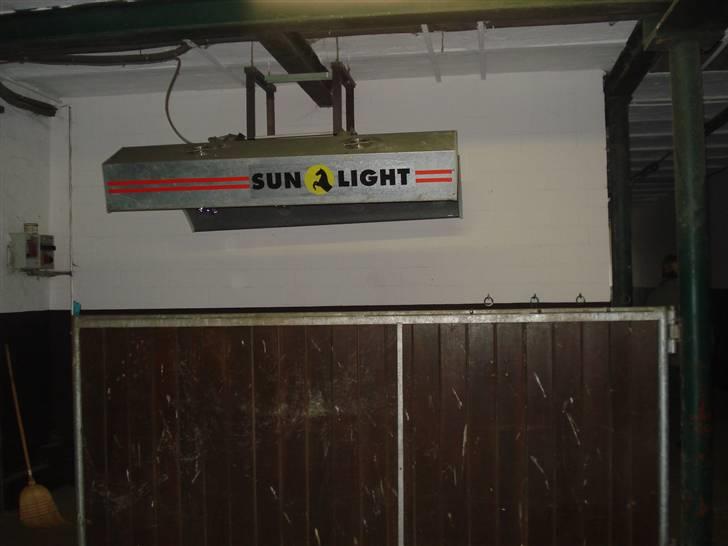 HOF ECKHORST - træningslejr - Solarium billede 24