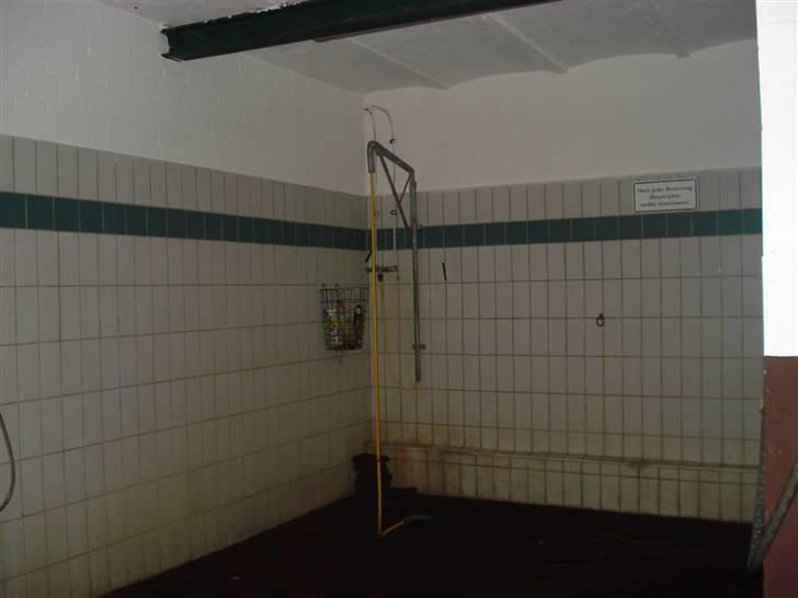 HOF ECKHORST - træningslejr - Indendørsvaskeplads (m. varmt vand) billede 25