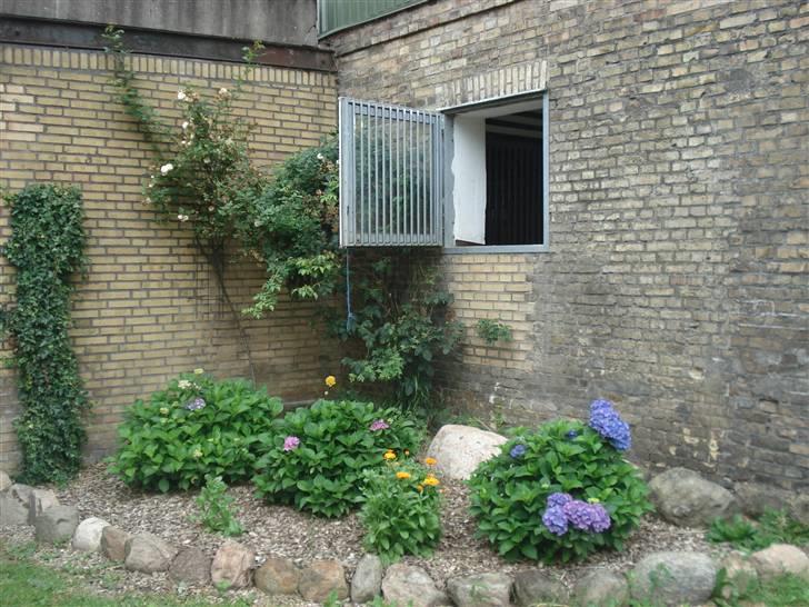 HOF ECKHORST - træningslejr - Stalden billede 31