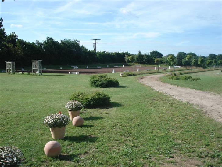 HOF ECKHORST - træningslejr - Ned til udendørs dressurbane billede 35