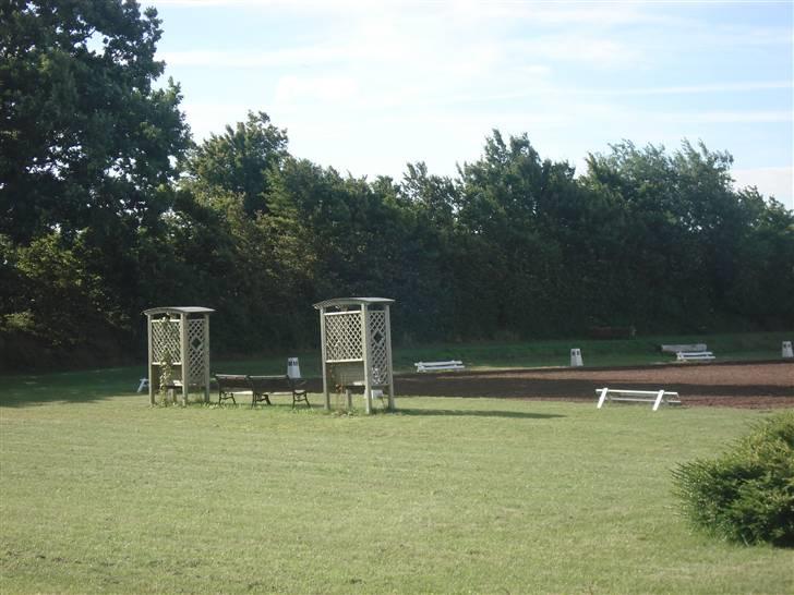 HOF ECKHORST - træningslejr - Dressurplatz billede 36