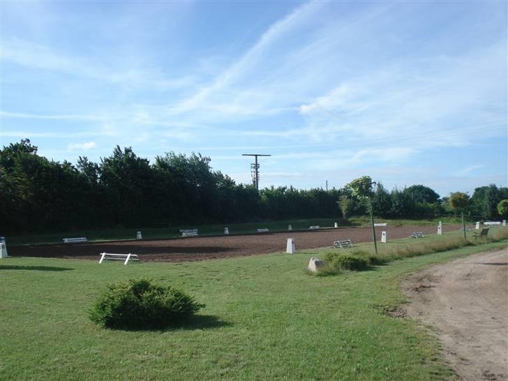 HOF ECKHORST - træningslejr - Dressurplatz billede 37