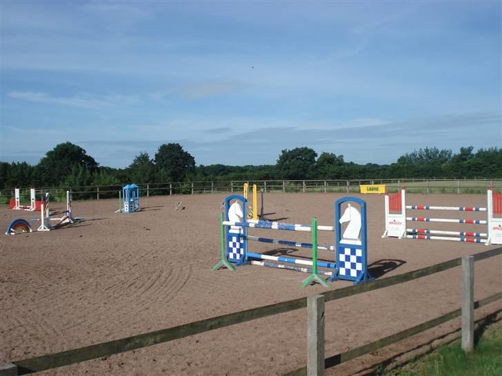 HOF ECKHORST - træningslejr - Springbane billede 41