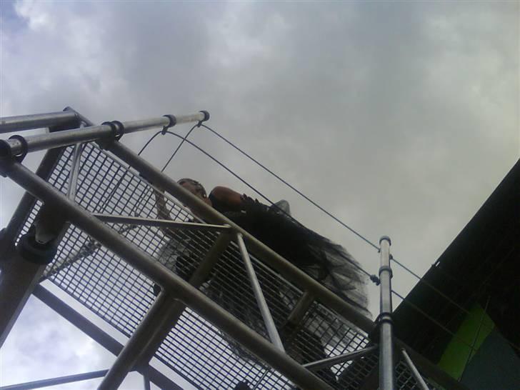 Grøn koncert -AQUA billede 19