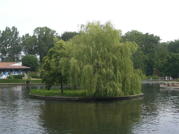 Joboland(brandegårdshaven) billede 2