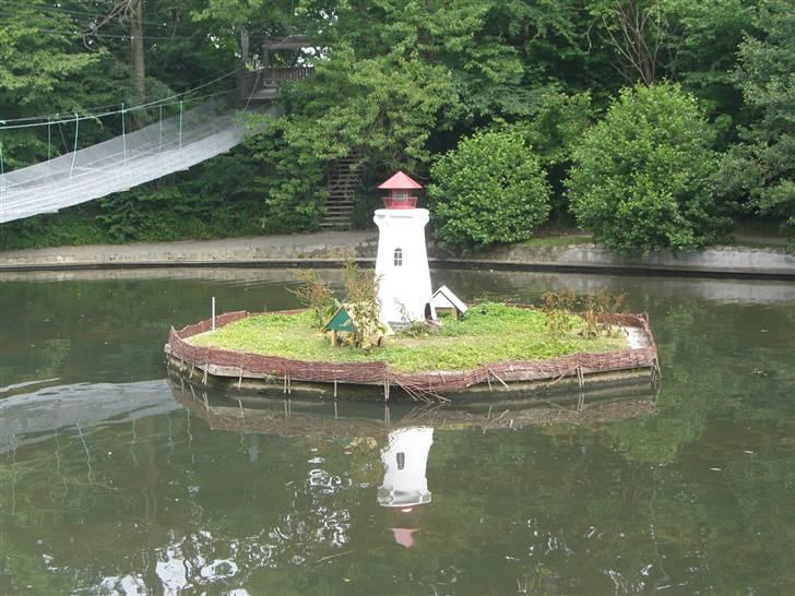 Joboland(brandegårdshaven) - En ø med marsvin på billede 3