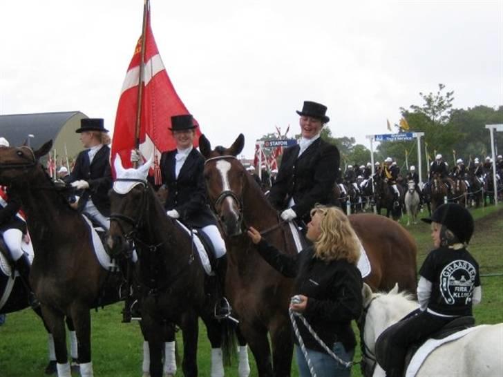 Gråsten Ringridning 2008 billede 1