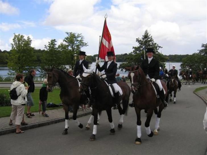 Gråsten Ringridning 2008 billede 2