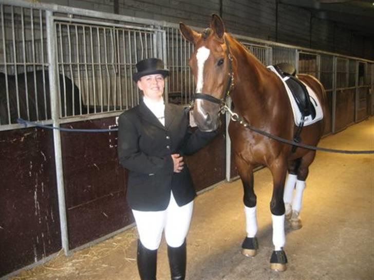 Gråsten Ringridning 2008 billede 3