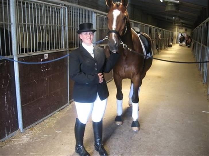 Gråsten Ringridning 2008 billede 5