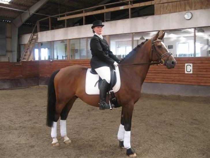 Gråsten Ringridning 2008 billede 6