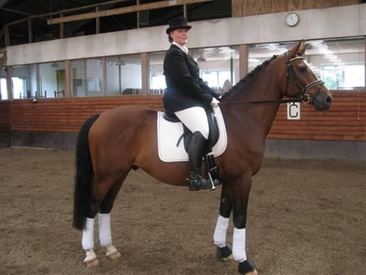 Gråsten Ringridning 2008 billede 7