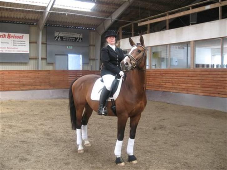 Gråsten Ringridning 2008 billede 8