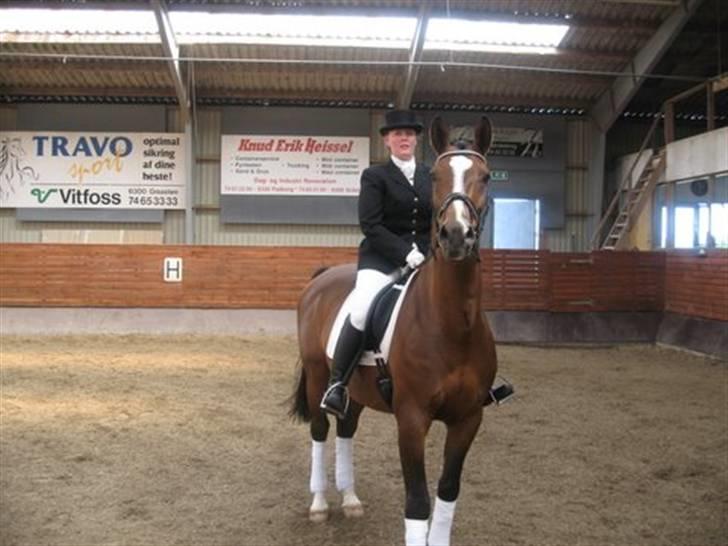 Gråsten Ringridning 2008 billede 9