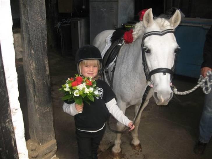 Gråsten Ringridning 2008 billede 10