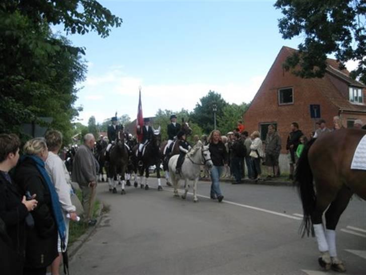 Gråsten Ringridning 2008 billede 11