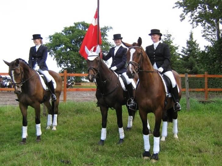 Gråsten Ringridning 2008 billede 13