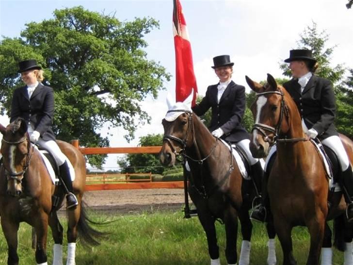 Gråsten Ringridning 2008 billede 14