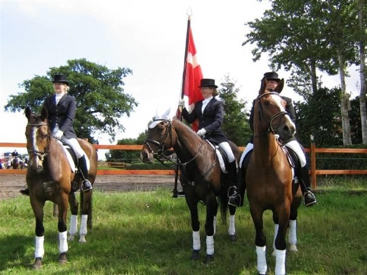 Gråsten Ringridning 2008 billede 15