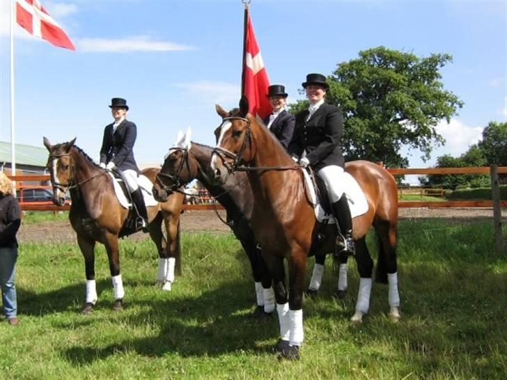 Gråsten Ringridning 2008 billede 16