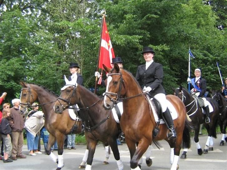 Gråsten Ringridning 2008 billede 17