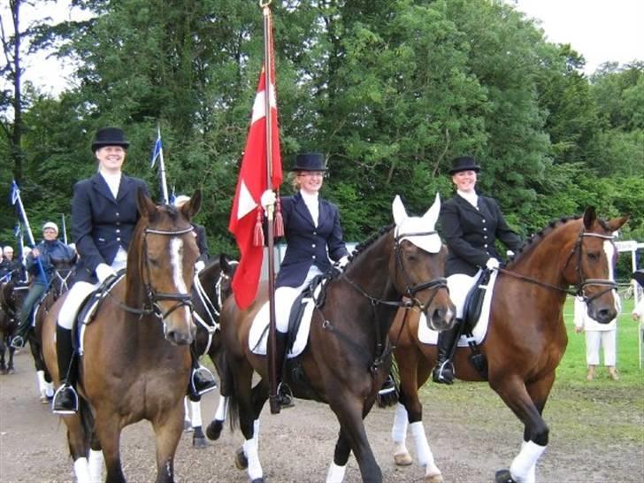 Gråsten Ringridning 2008 billede 18