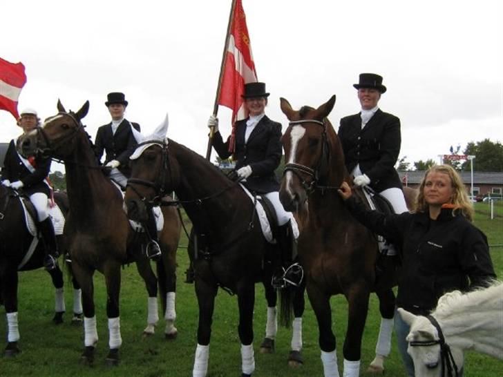 Gråsten Ringridning 2008 billede 19