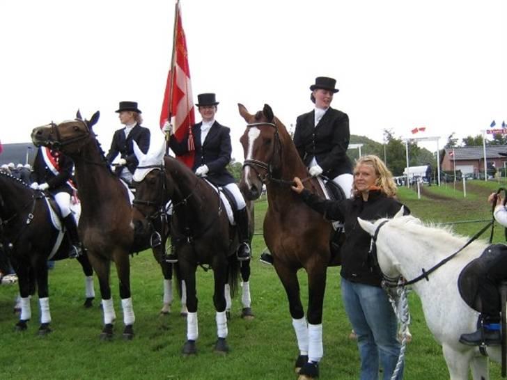 Gråsten Ringridning 2008 billede 20