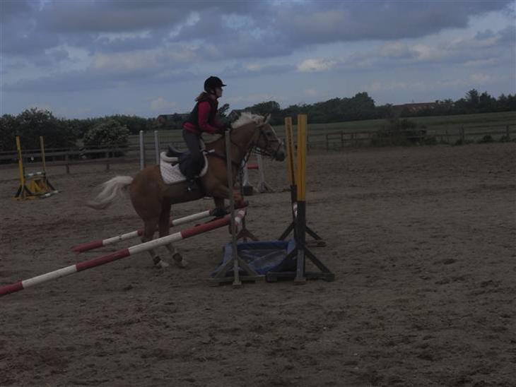 {{currentPhoto.altText}} billede {{currentPhoto.number}}