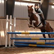 MIg der springer på efterskolen 