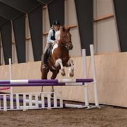 MIg der springer på efterskolen 